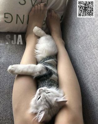 八戒八戒八戒_免费观看
